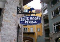 pet friendly restaurant in vail