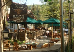 pet freindly restaurant in vail
