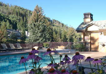 pet friendly hotel in vail