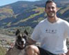 pet daycare in vail