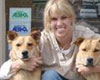 dog daycare in vail