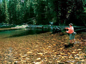 gore creek fly fishermen