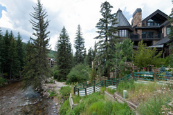 pet friendly bed and breakfast in vail