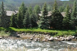 dog park in vail